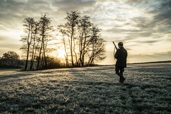 Comment réussir sa chasse ou sa pêche : Techniques et astuces à connaître